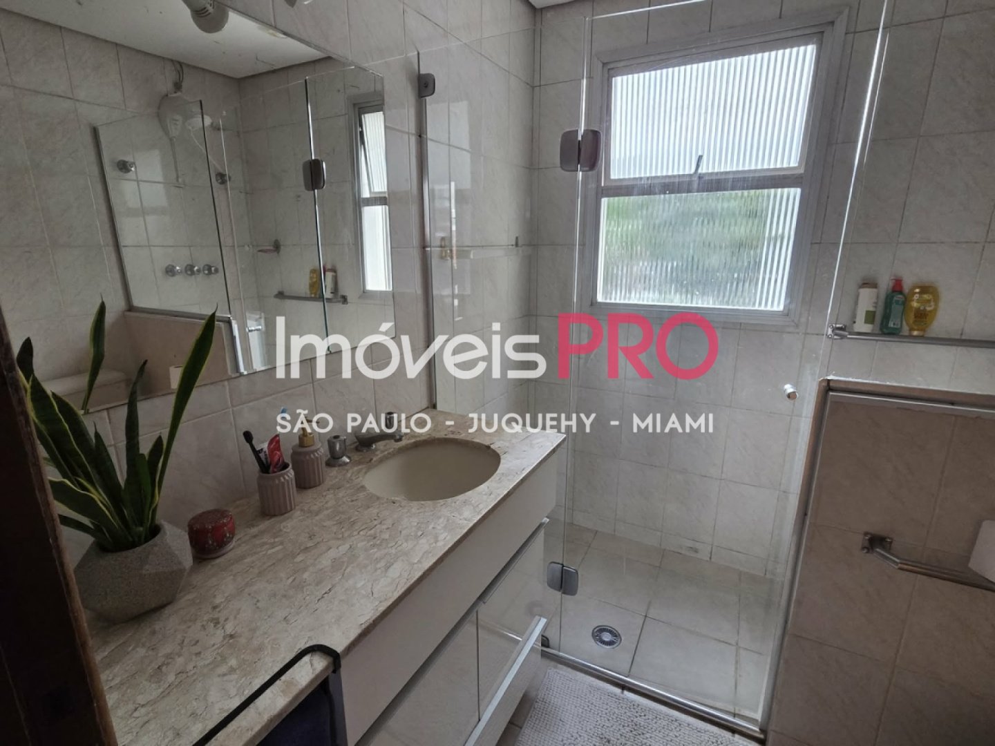 Foto :: IP37643