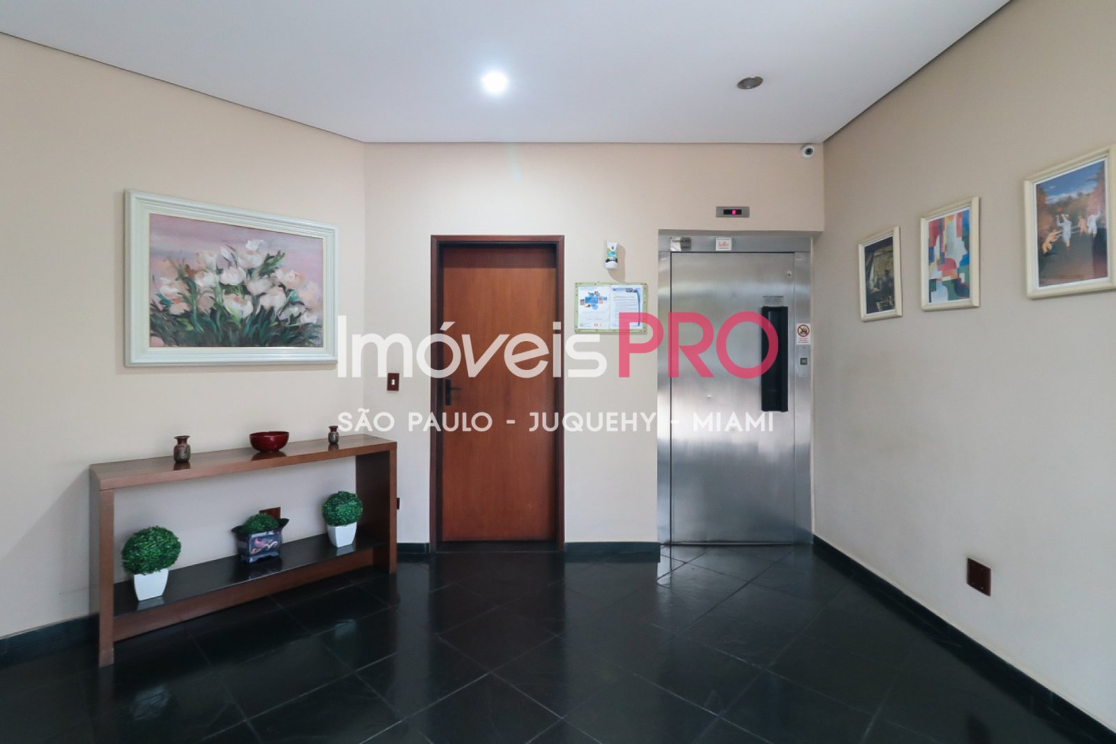 Foto :: IP37643
