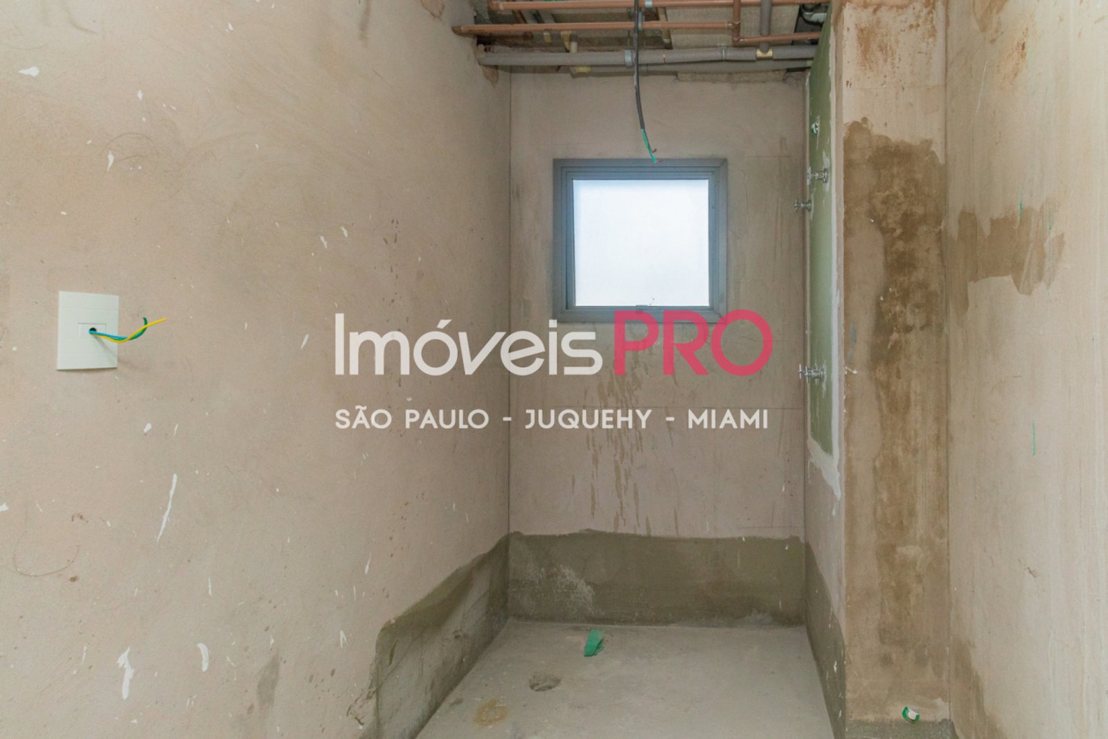 Foto :: IP37702