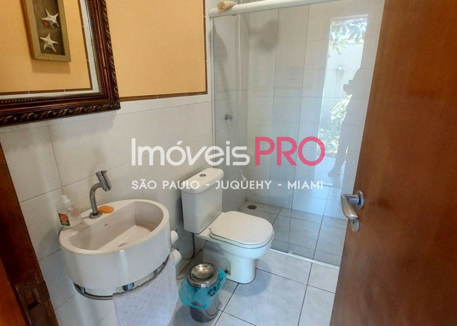 Foto :: IP37709