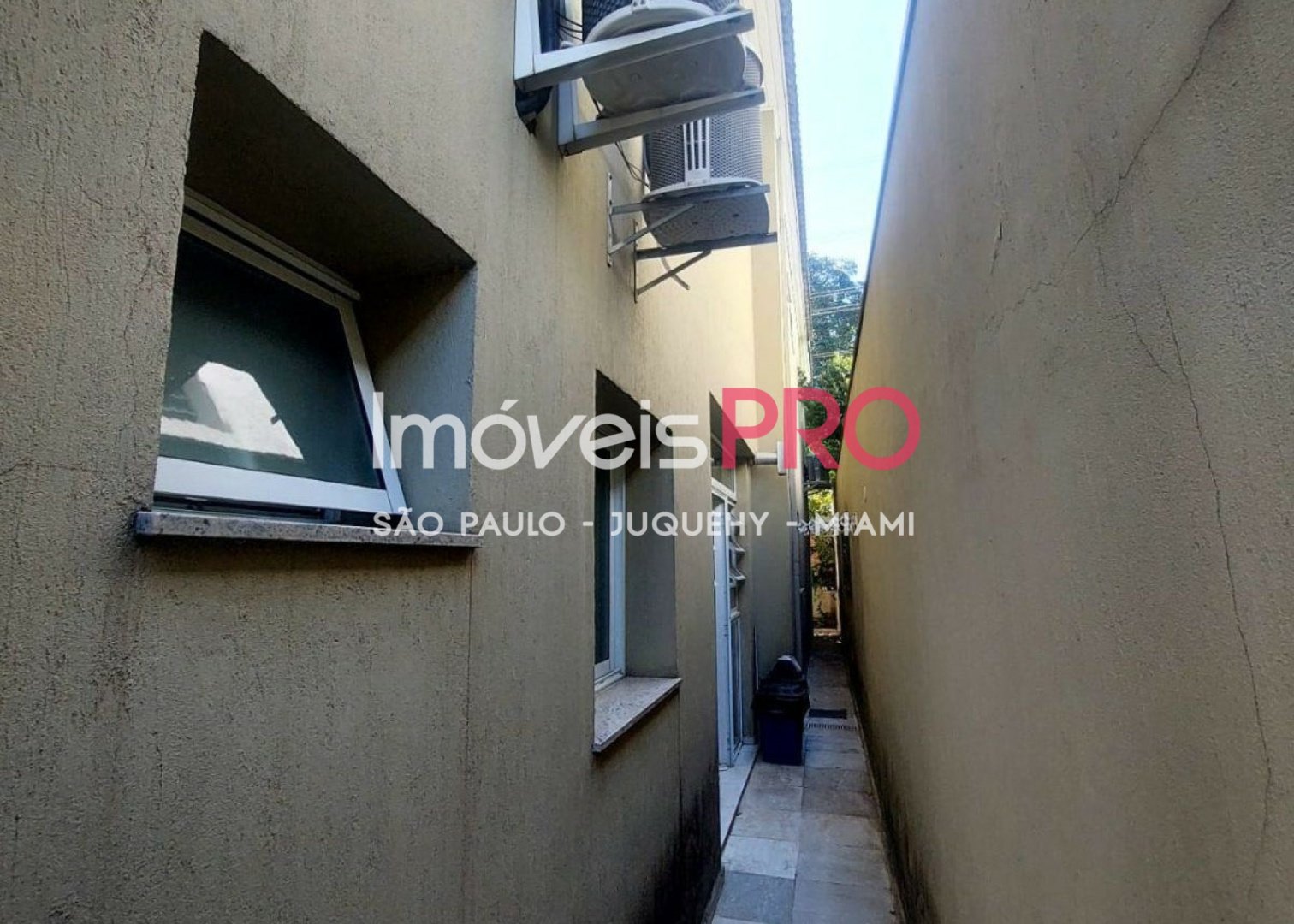 Foto :: IP37709