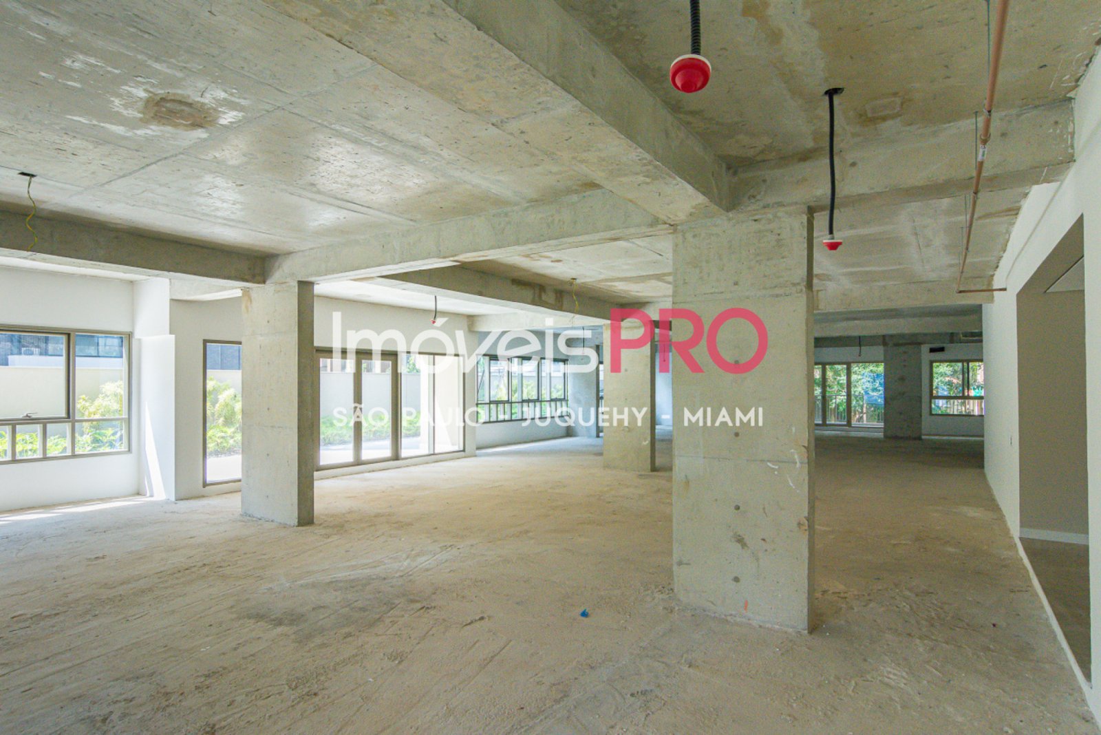 Foto :: IP37789