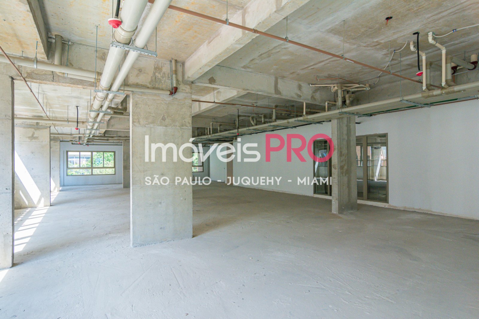 Foto :: IP37789