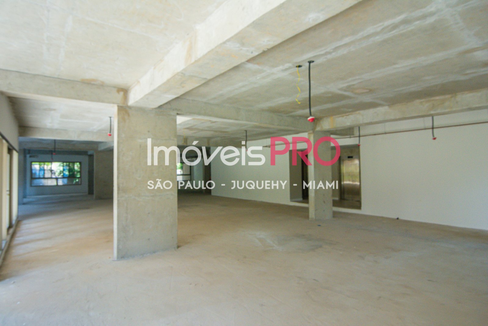 Foto :: IP37789
