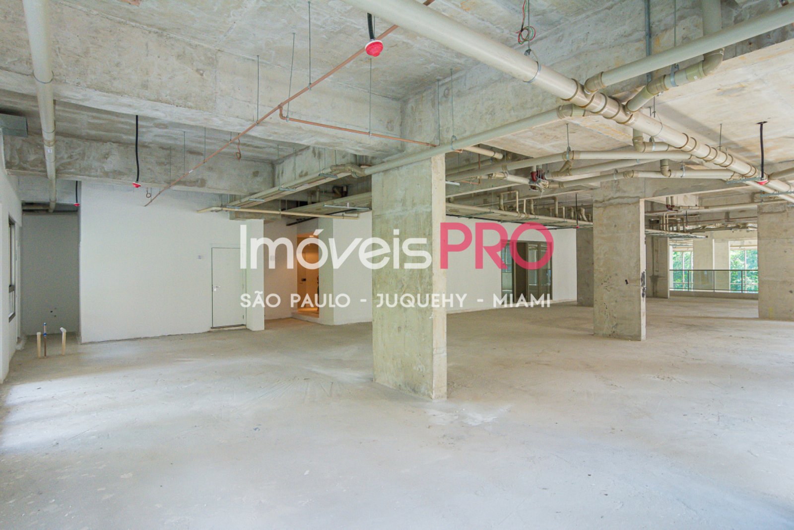 Foto :: IP37789