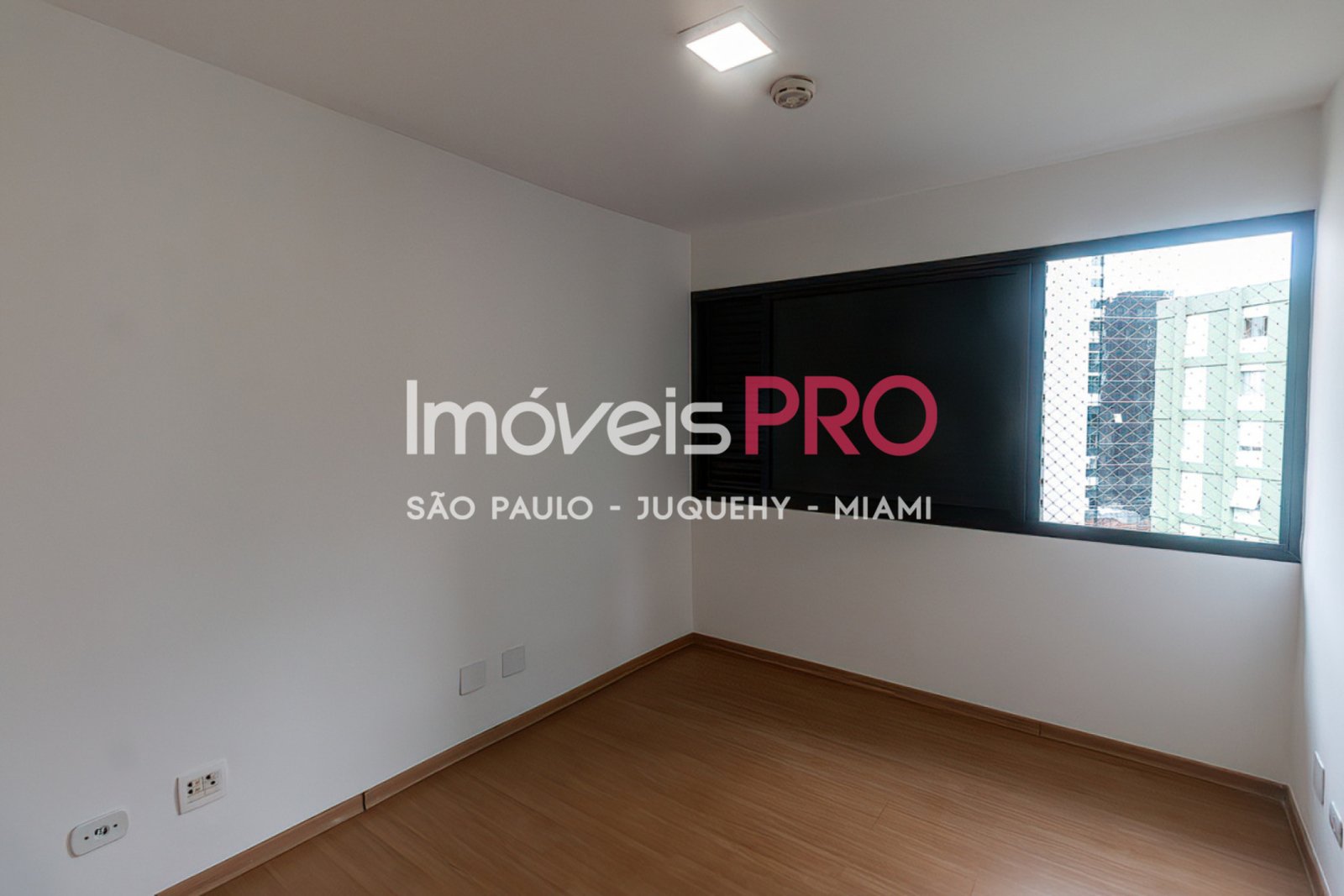 Foto :: IP37813