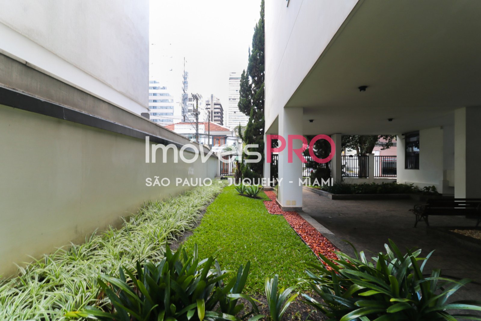Foto :: IP37896