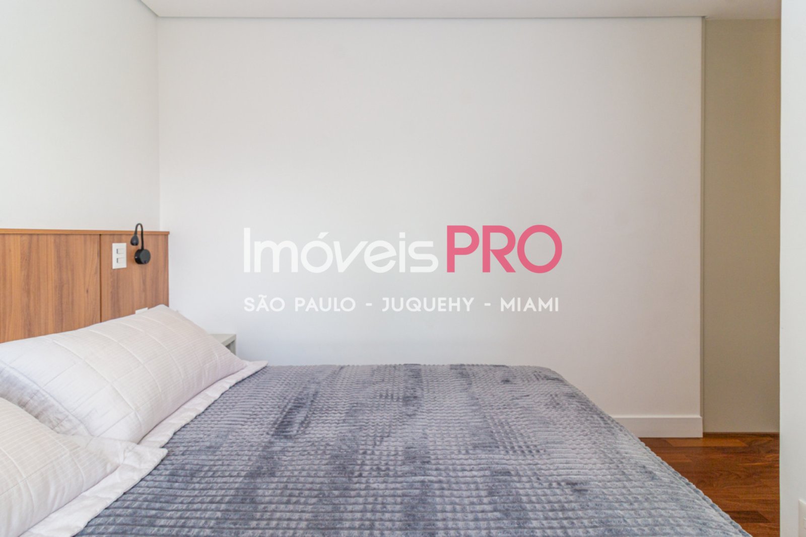 Foto :: IP37957