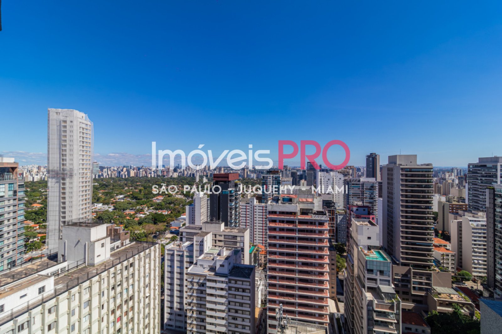 Foto :: IP38008