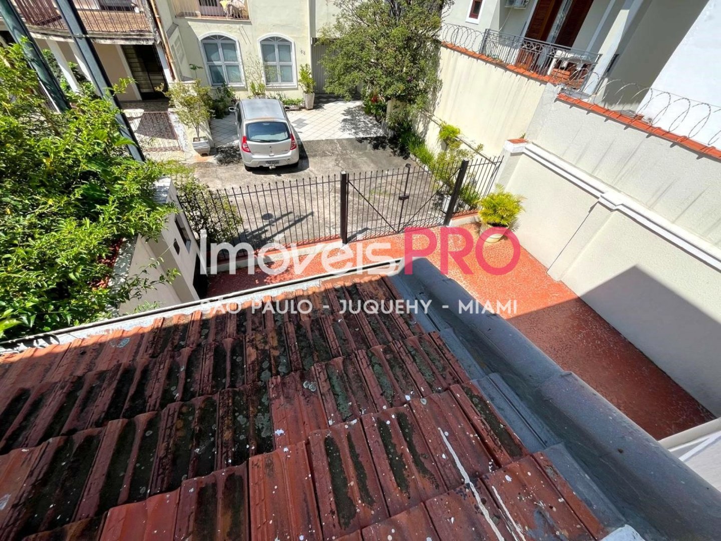 Foto :: IP38177
