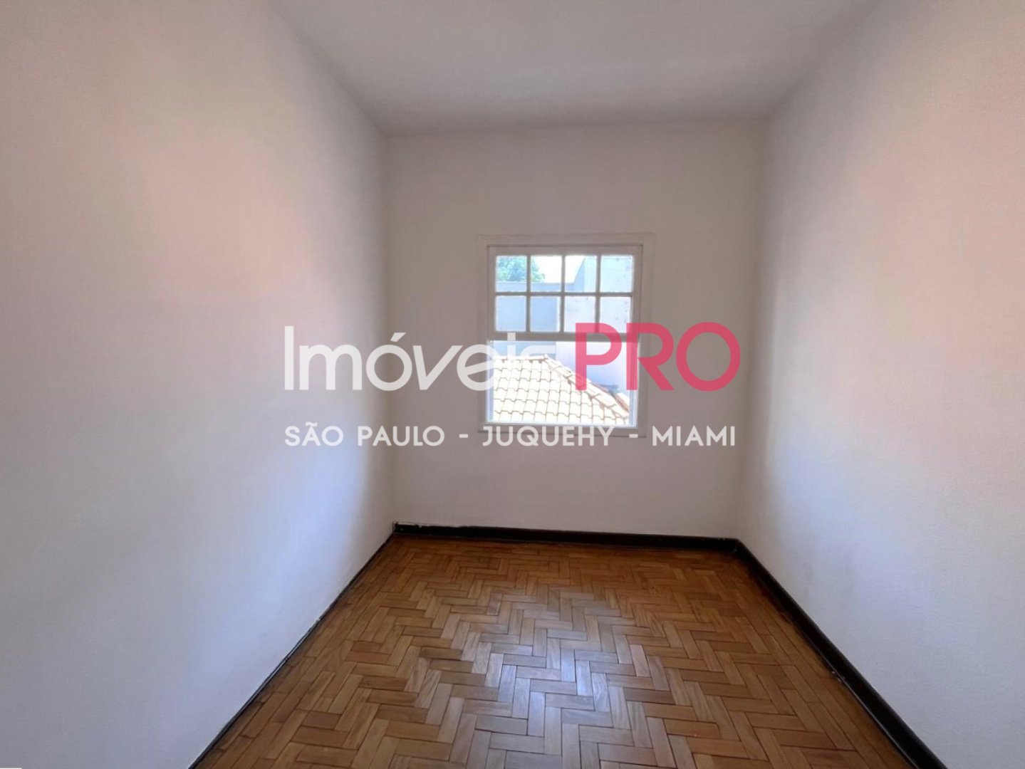 Foto :: IP38177