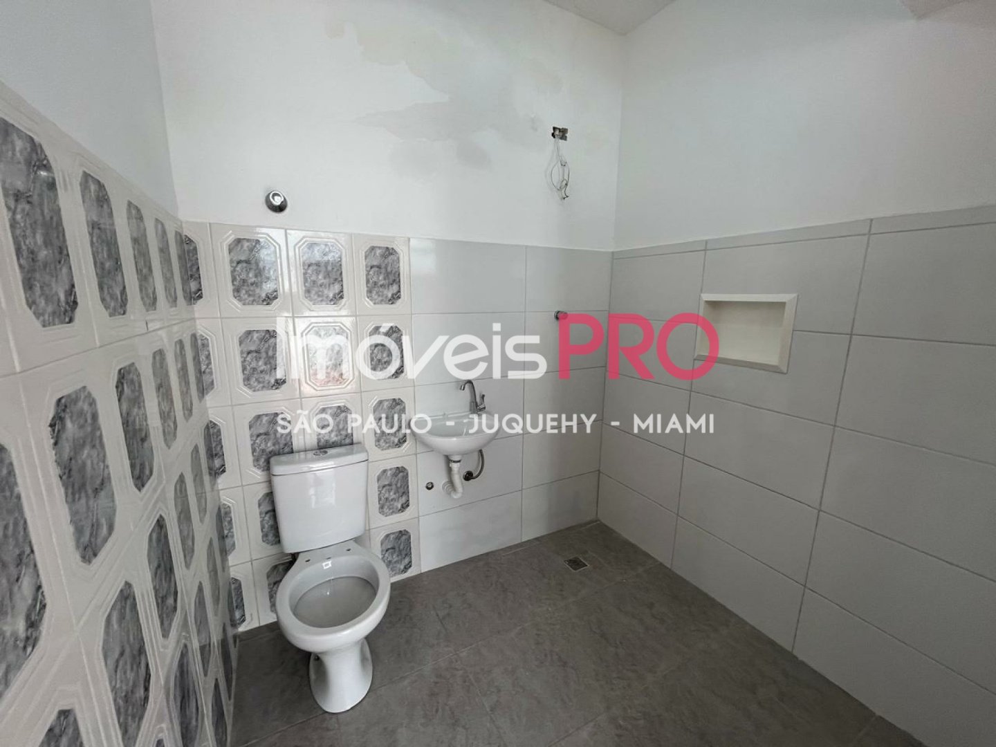 Foto :: IP38177