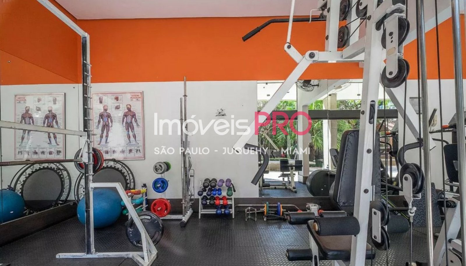 Foto :: IP38183