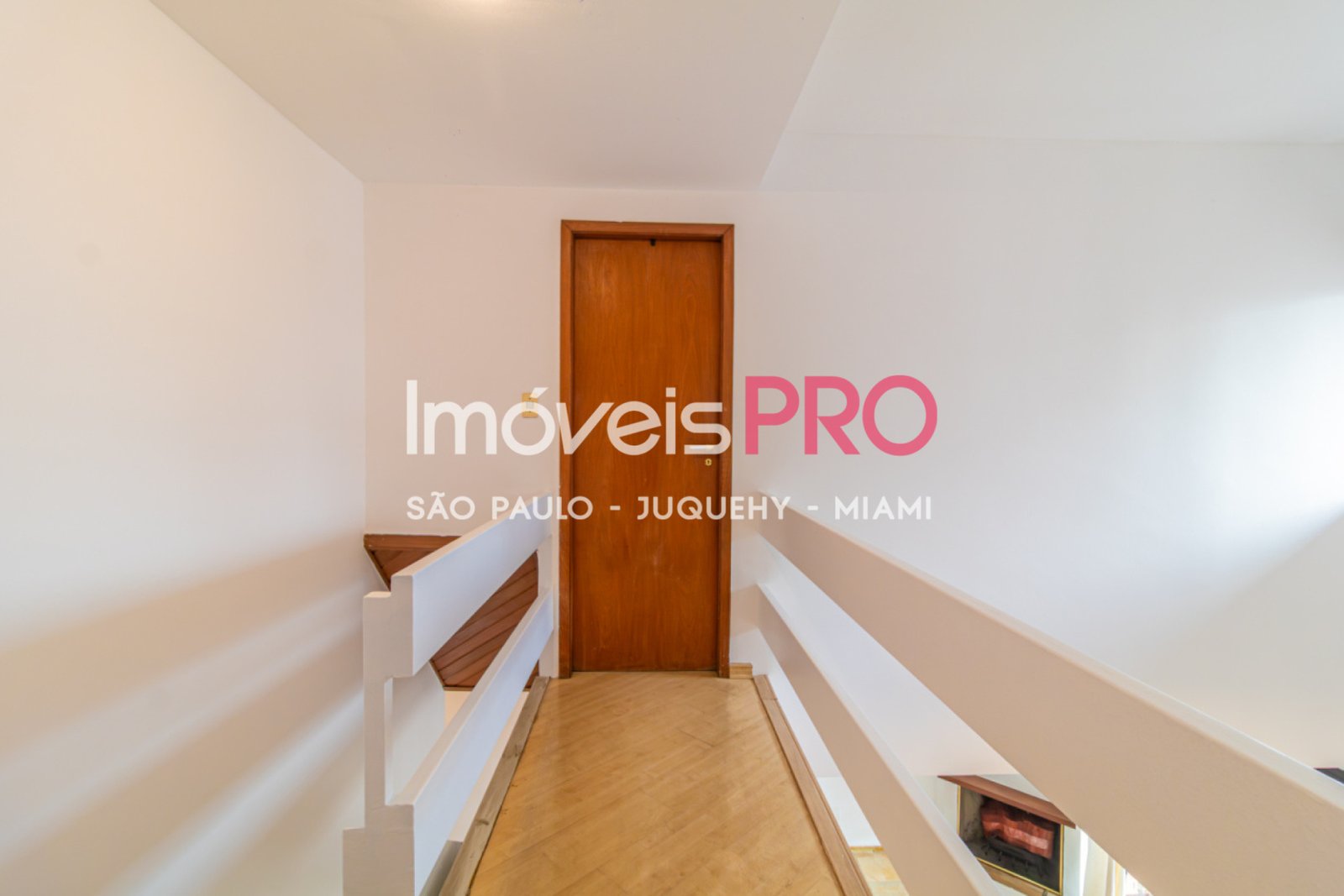 Foto :: IP38183