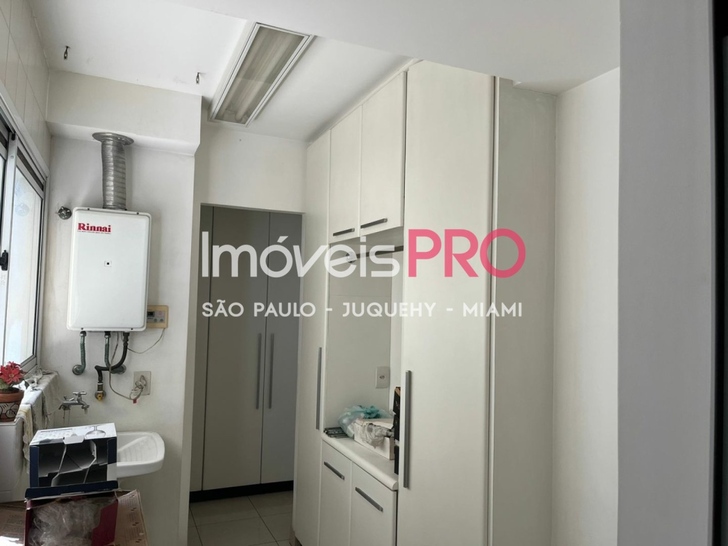 Foto :: IP38190