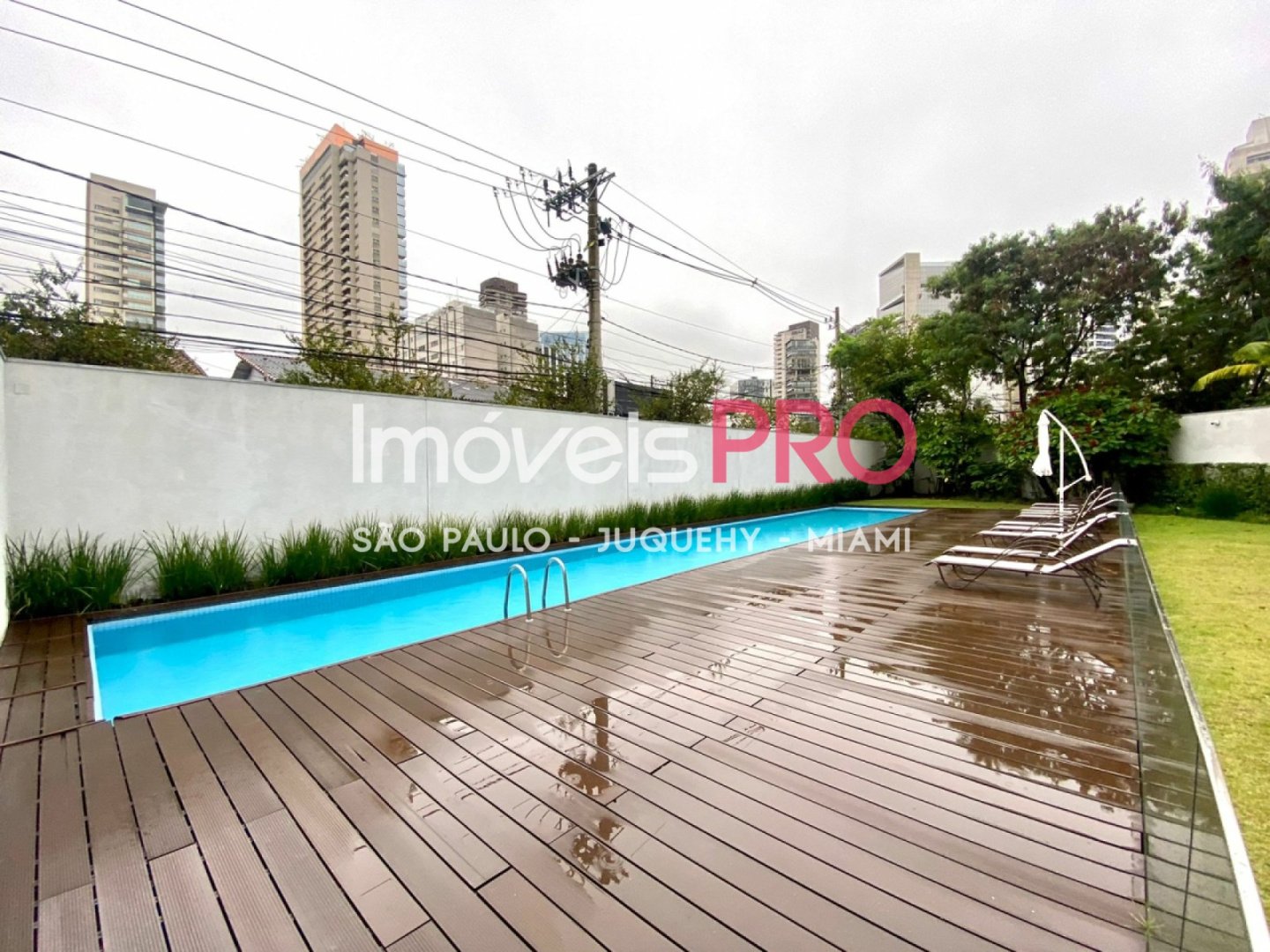 Foto :: IP38197