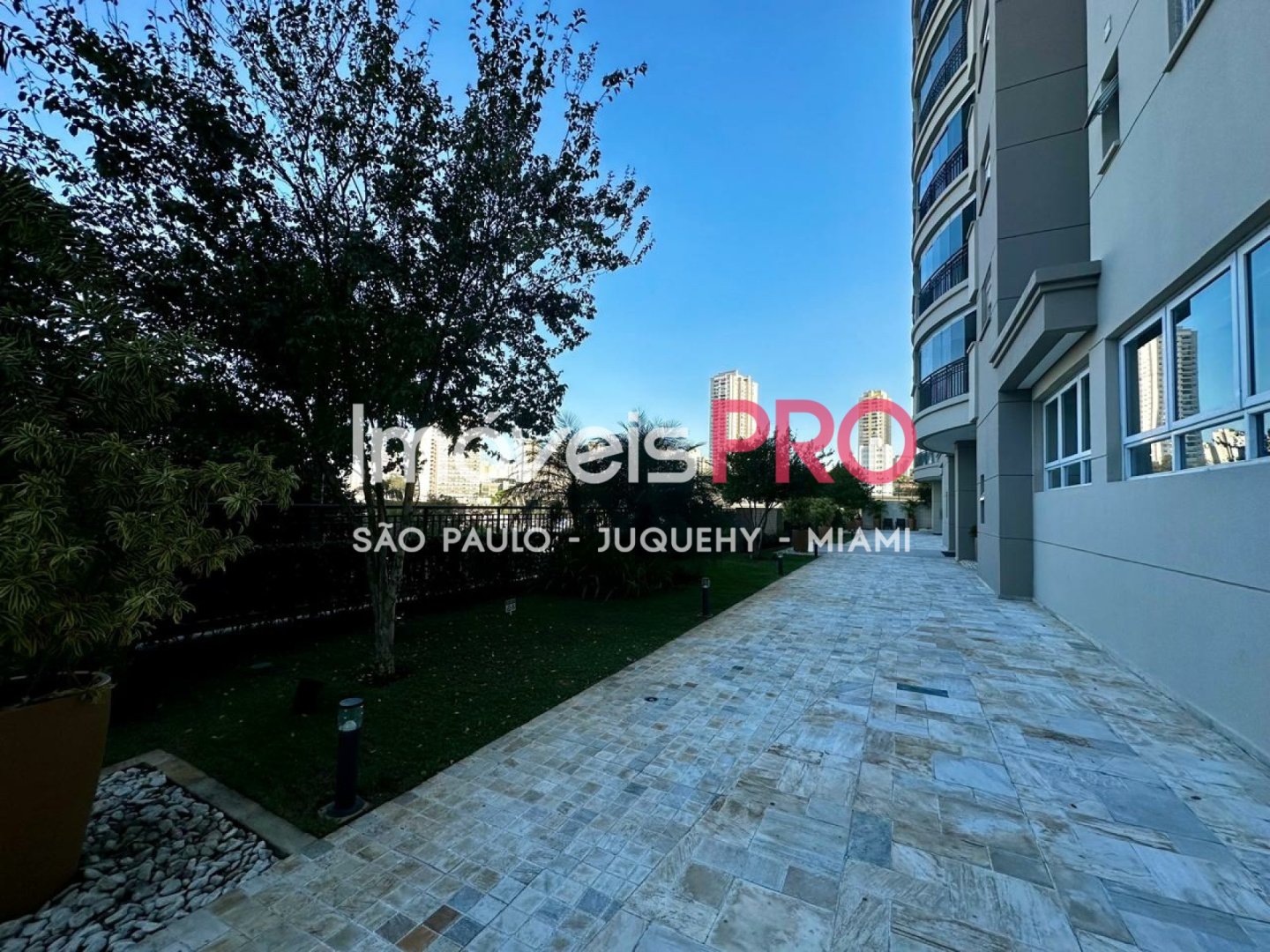 Foto :: IP38202