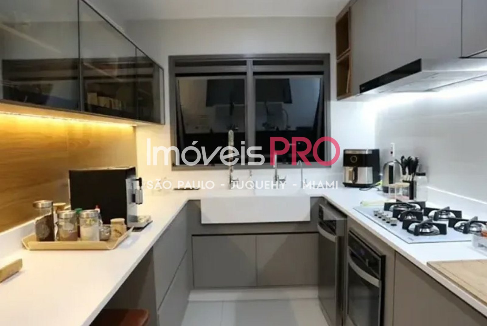 Foto :: IP38214