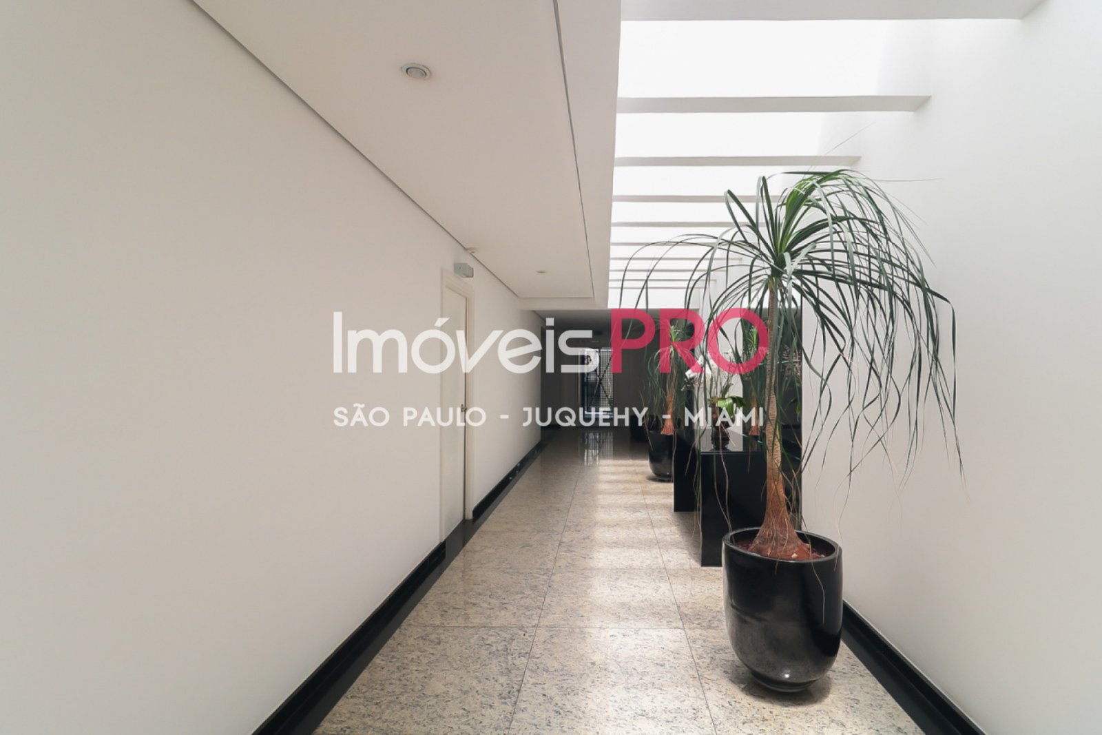 Foto :: IP38221