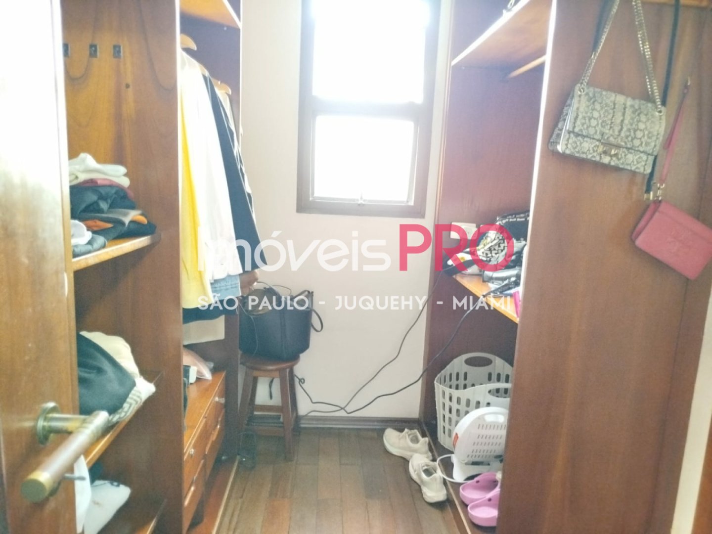 Foto :: IP38222