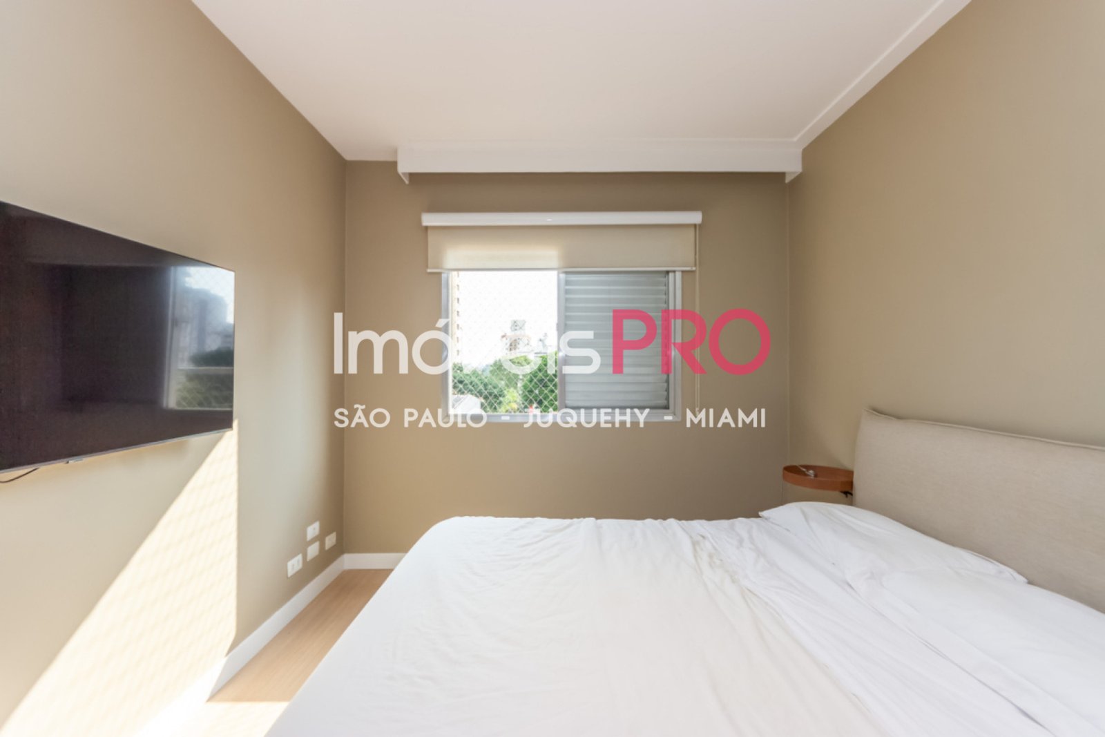 Foto :: IP38226