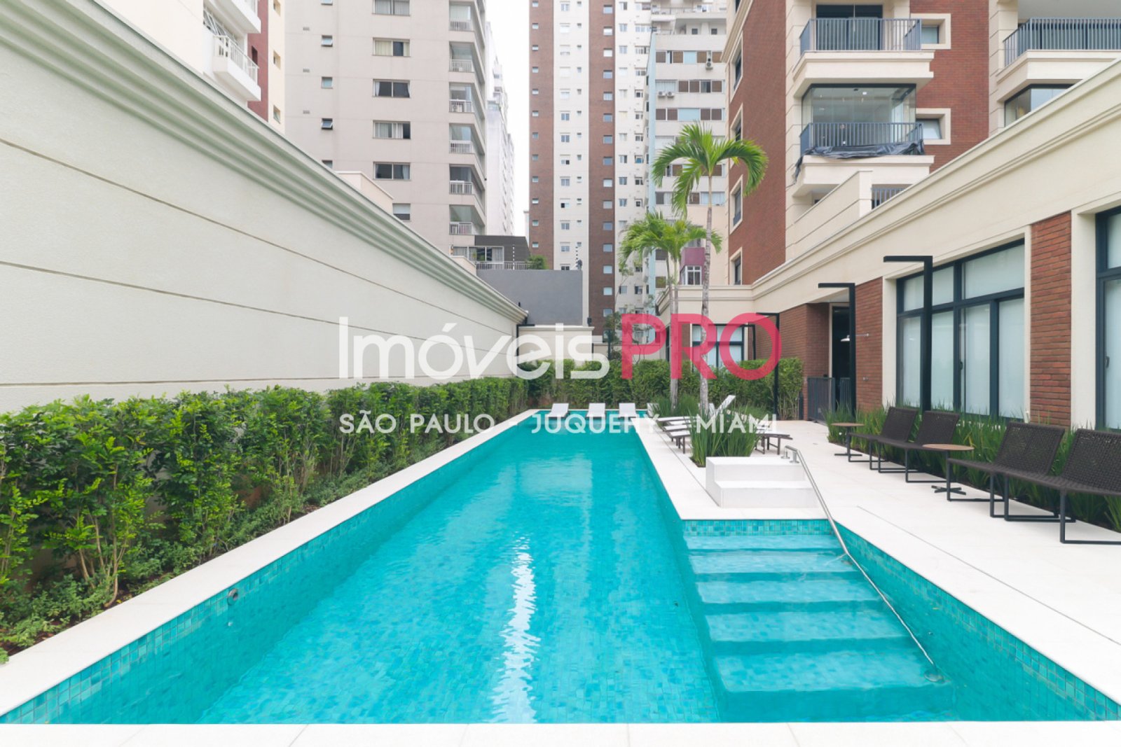 Foto :: IP38247