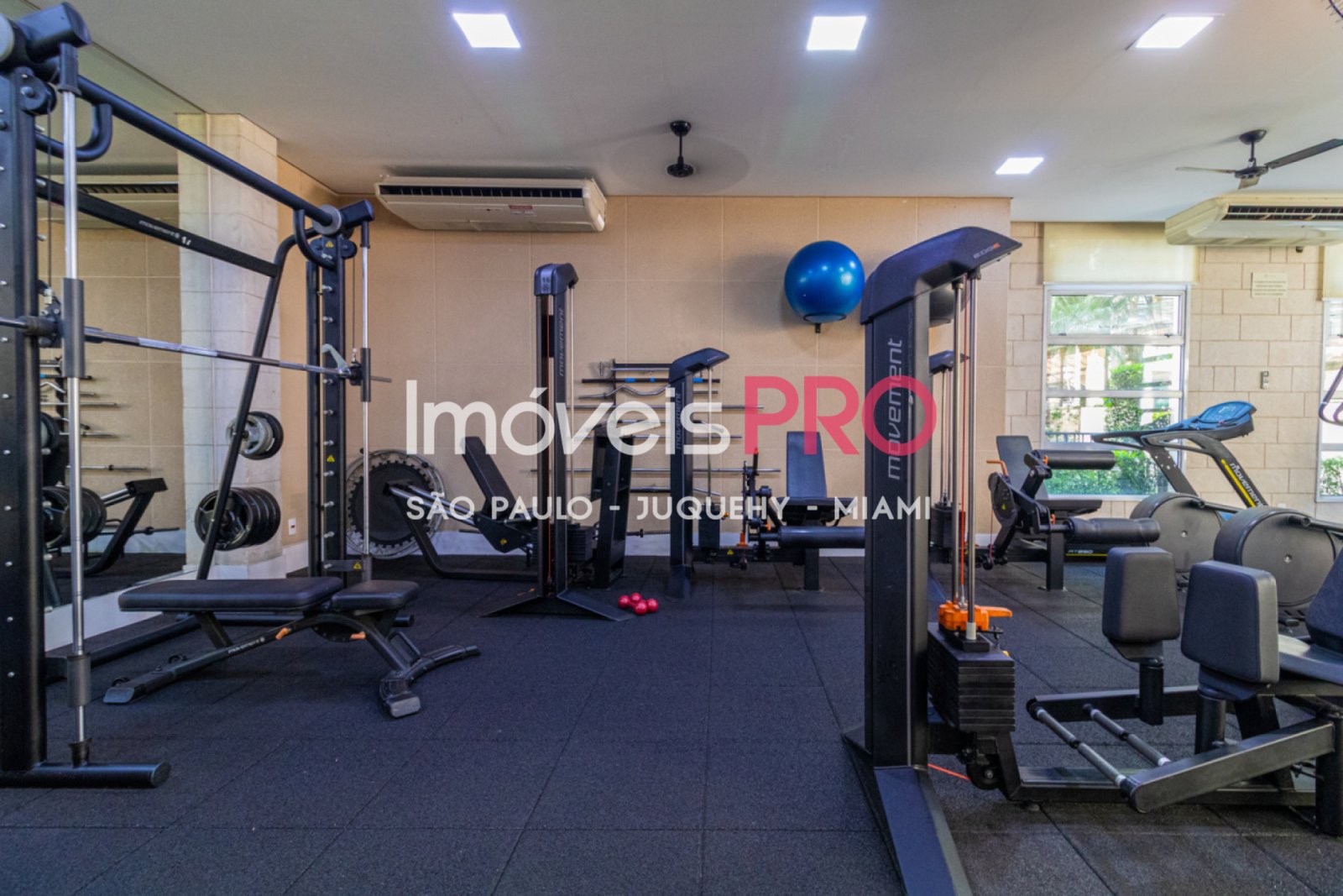 Foto :: IP38250