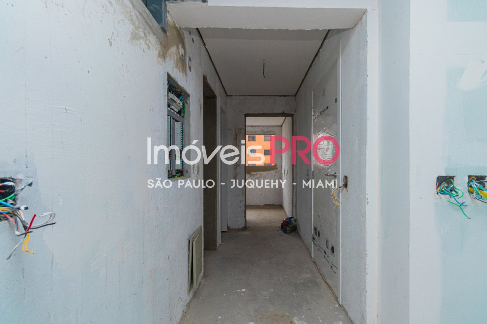 Foto :: IP38264