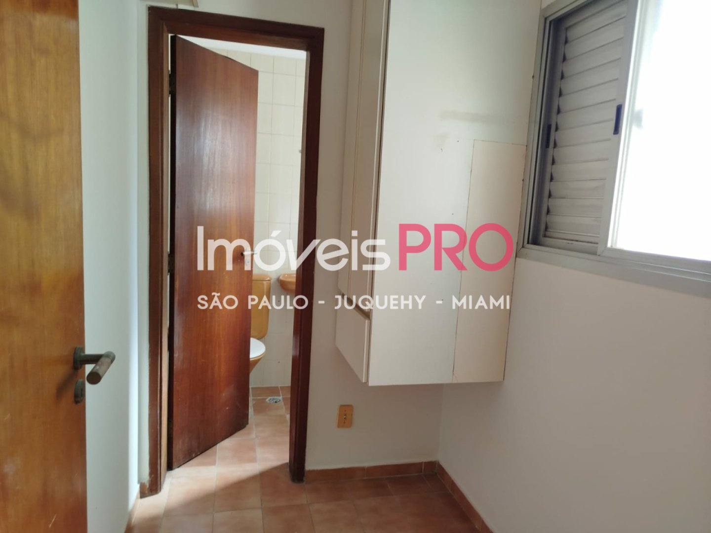 Foto :: IP38288