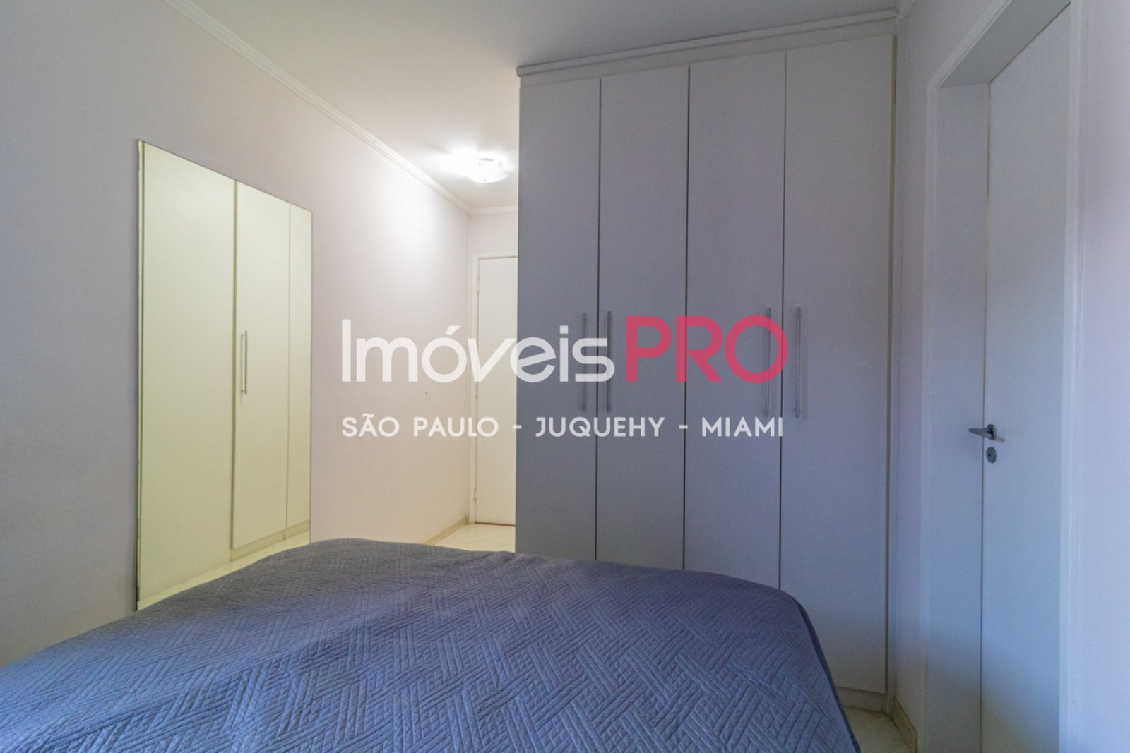 Foto :: IP38315