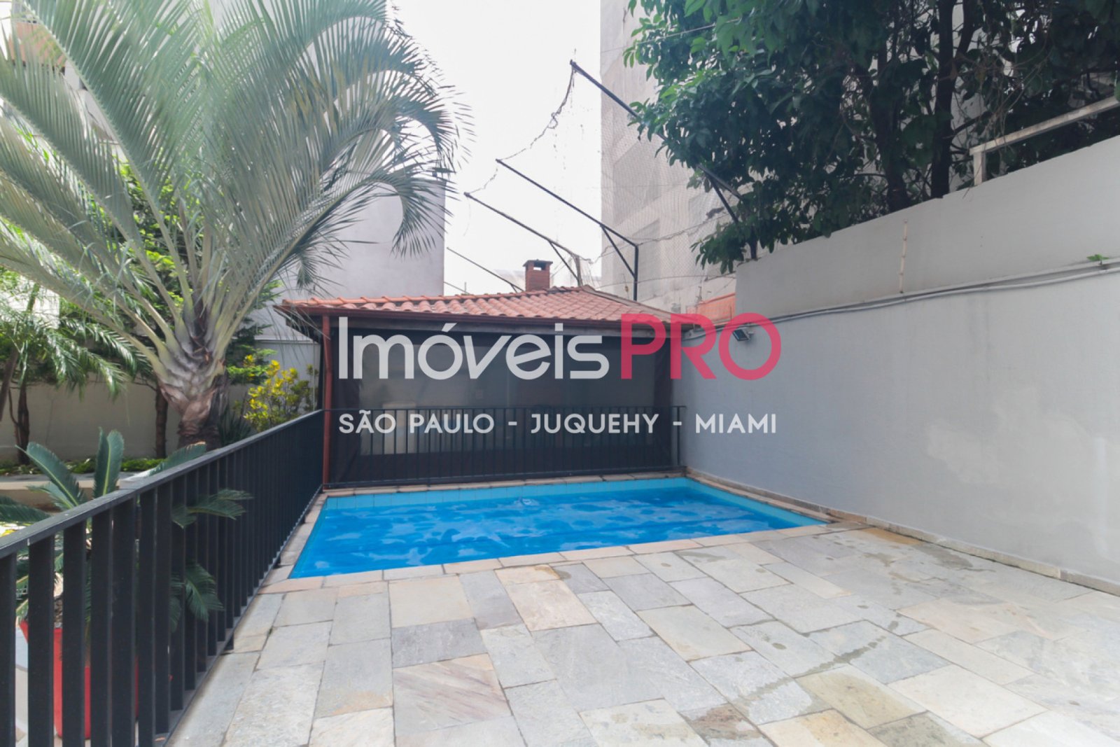 Foto :: IP38315