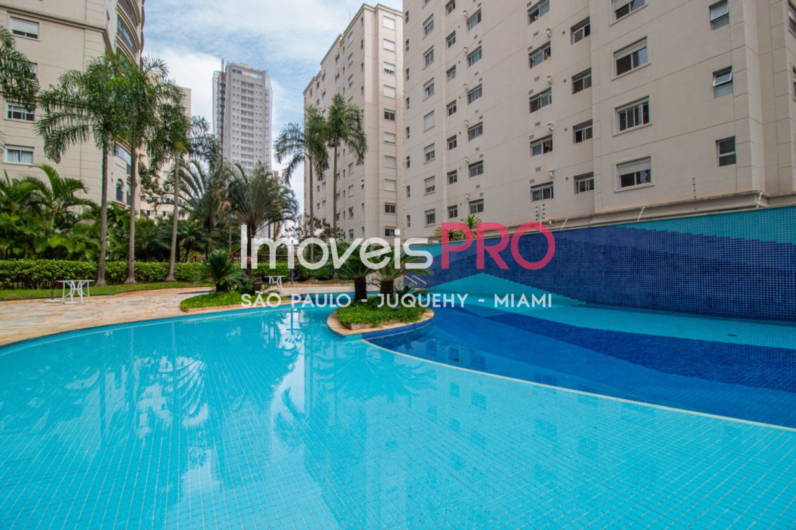 Foto :: IP38316