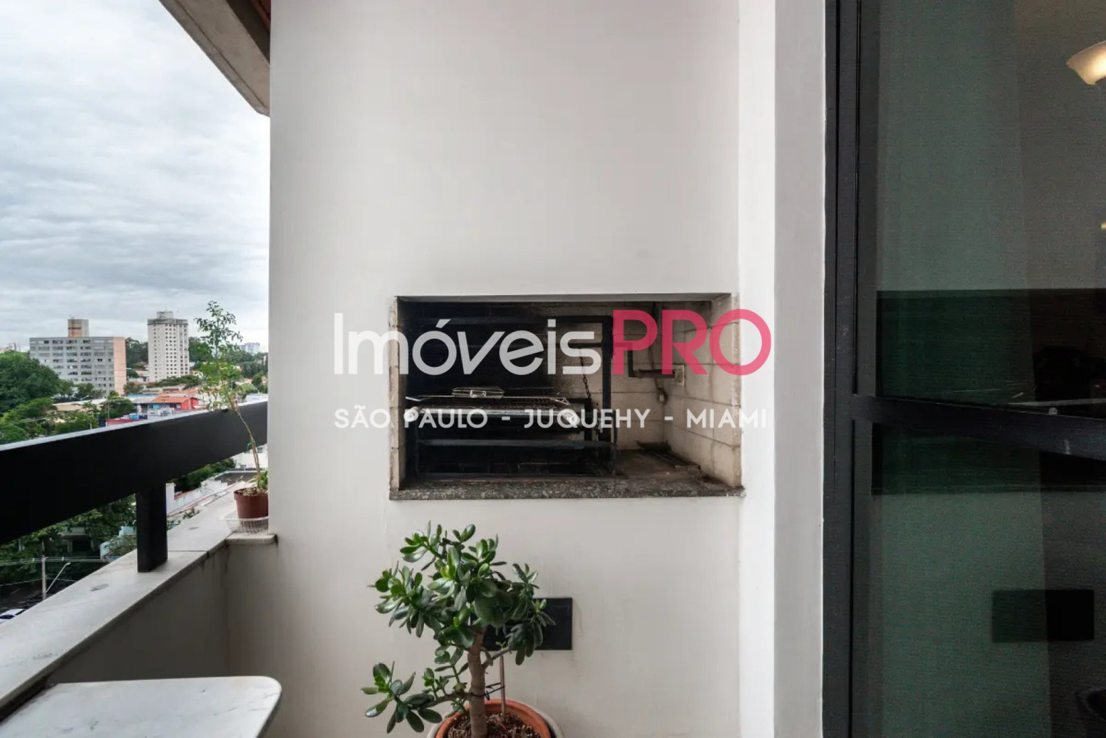 Foto :: IP38329