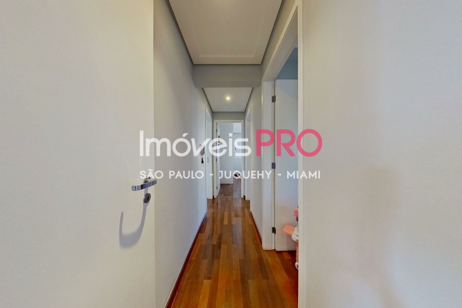 Foto :: IP38352