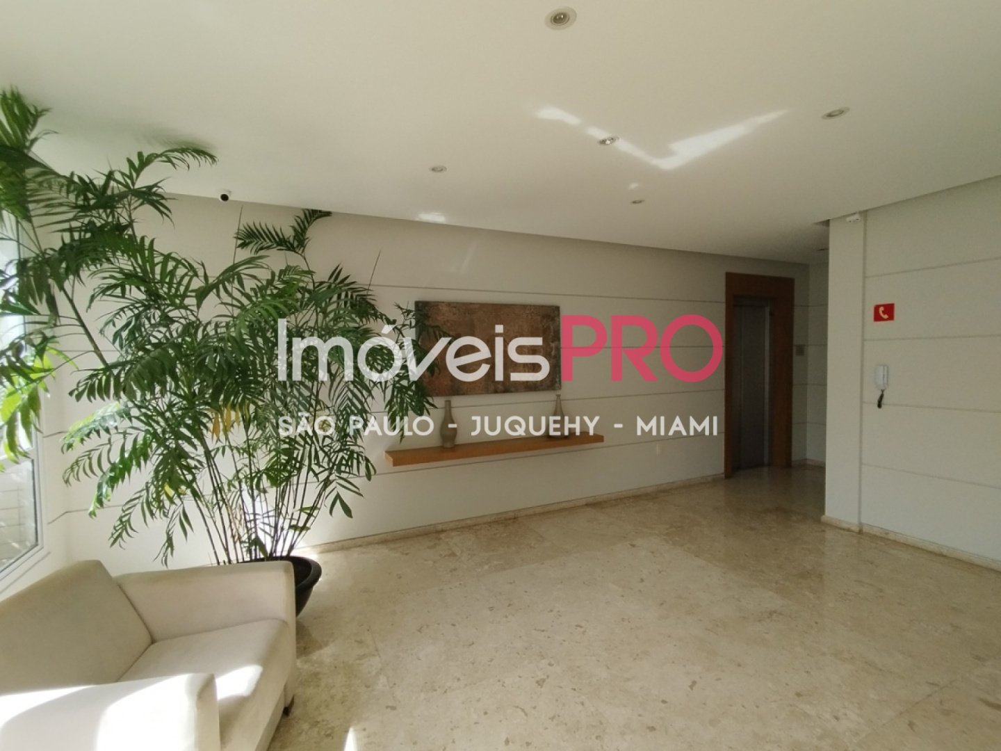 Foto :: IP38352