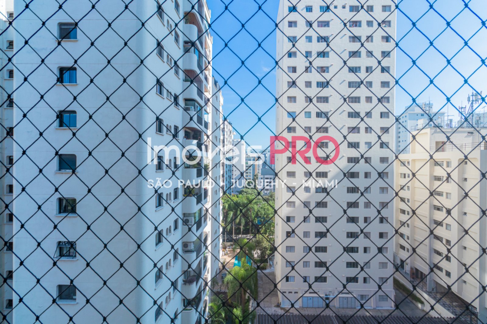 Foto :: IP38354