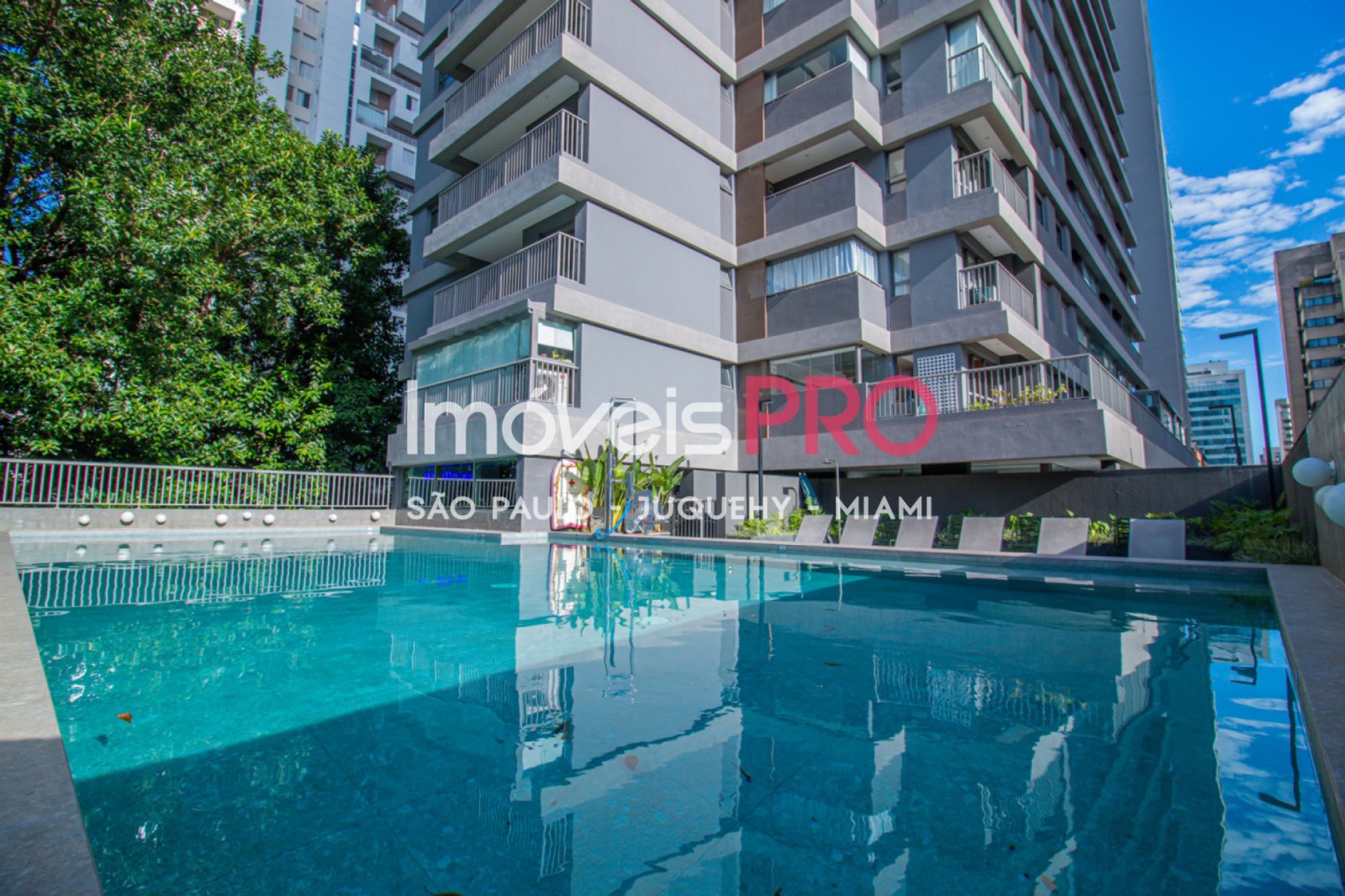 Foto :: IP38356