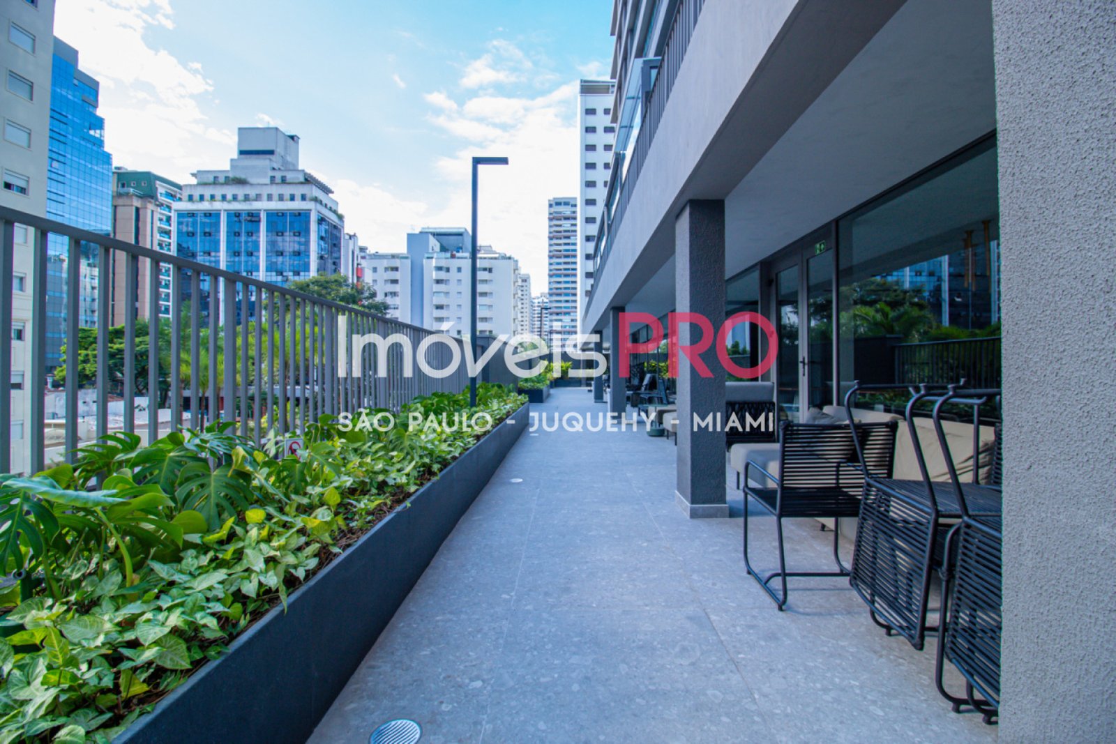 Foto :: IP38356