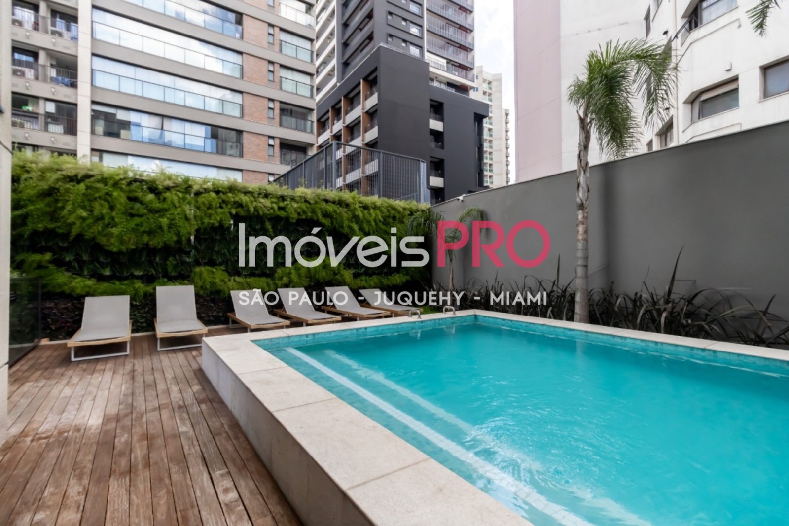 Foto :: IP38364