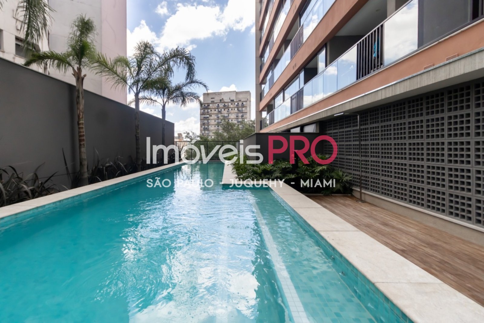 Foto :: IP38365