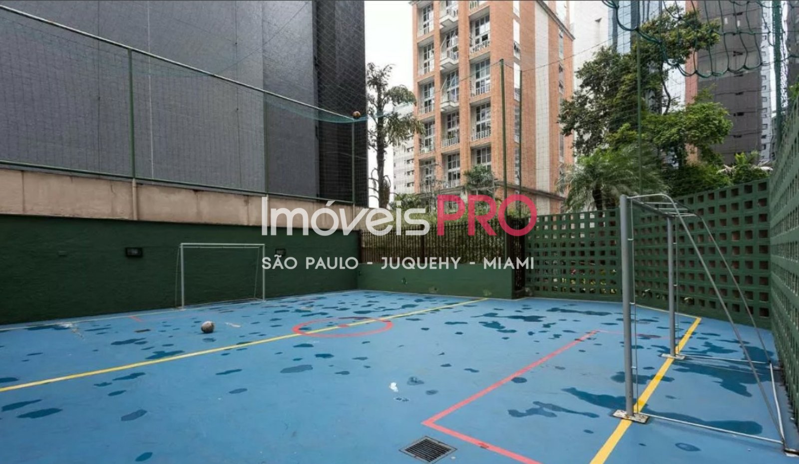 Foto :: IP38376