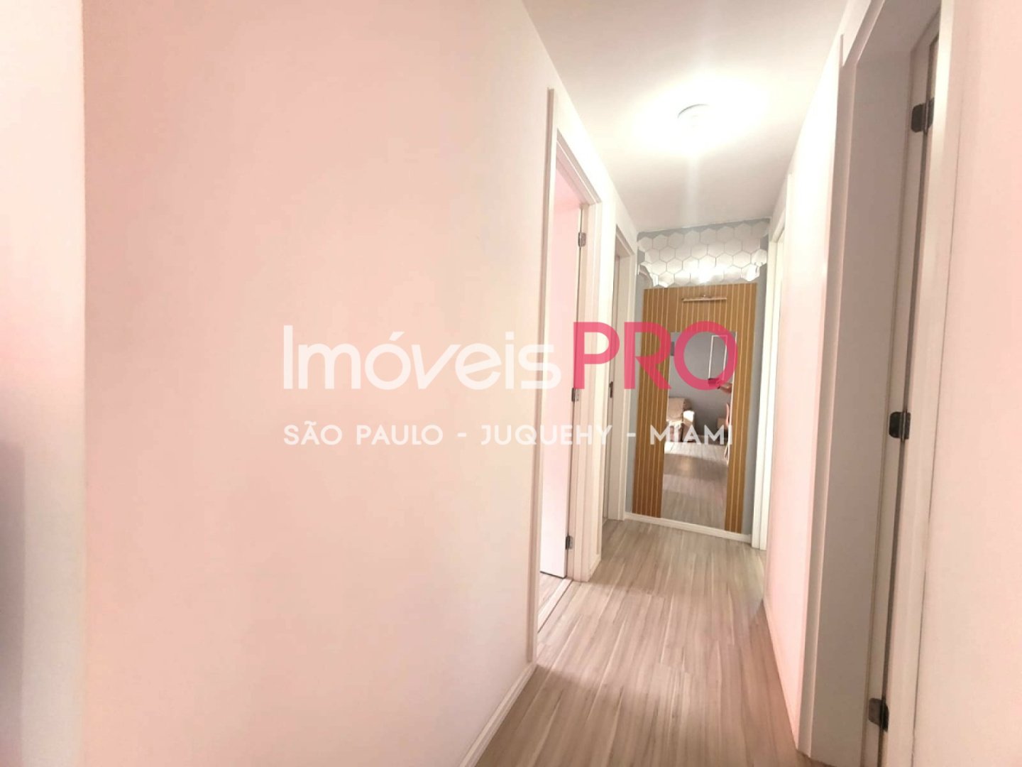 Foto :: IP38402
