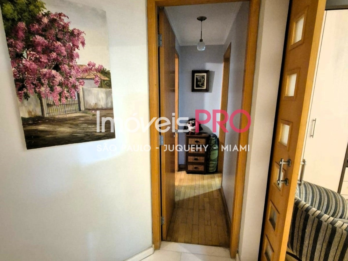 Foto :: IP38424