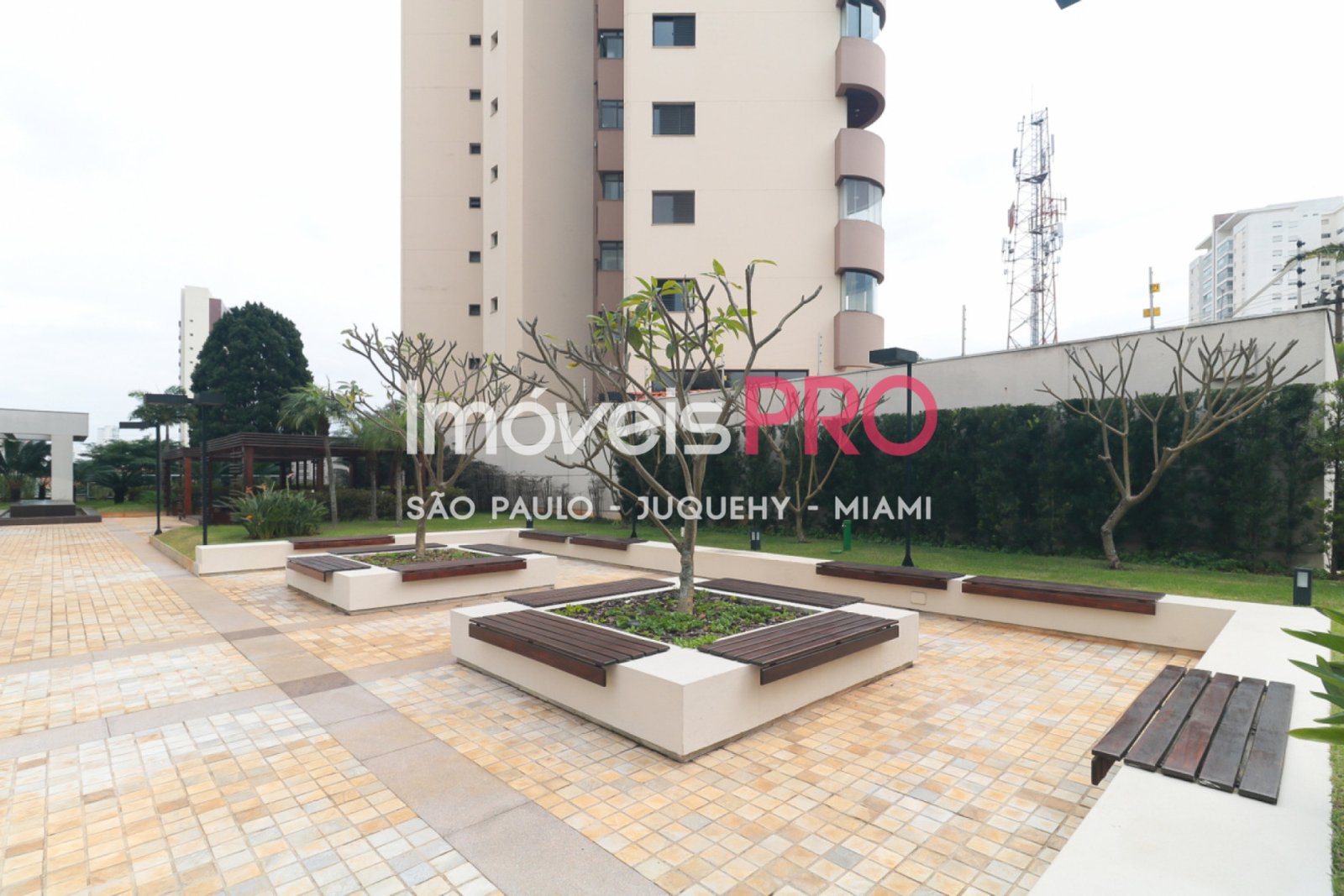 Foto :: IP38427