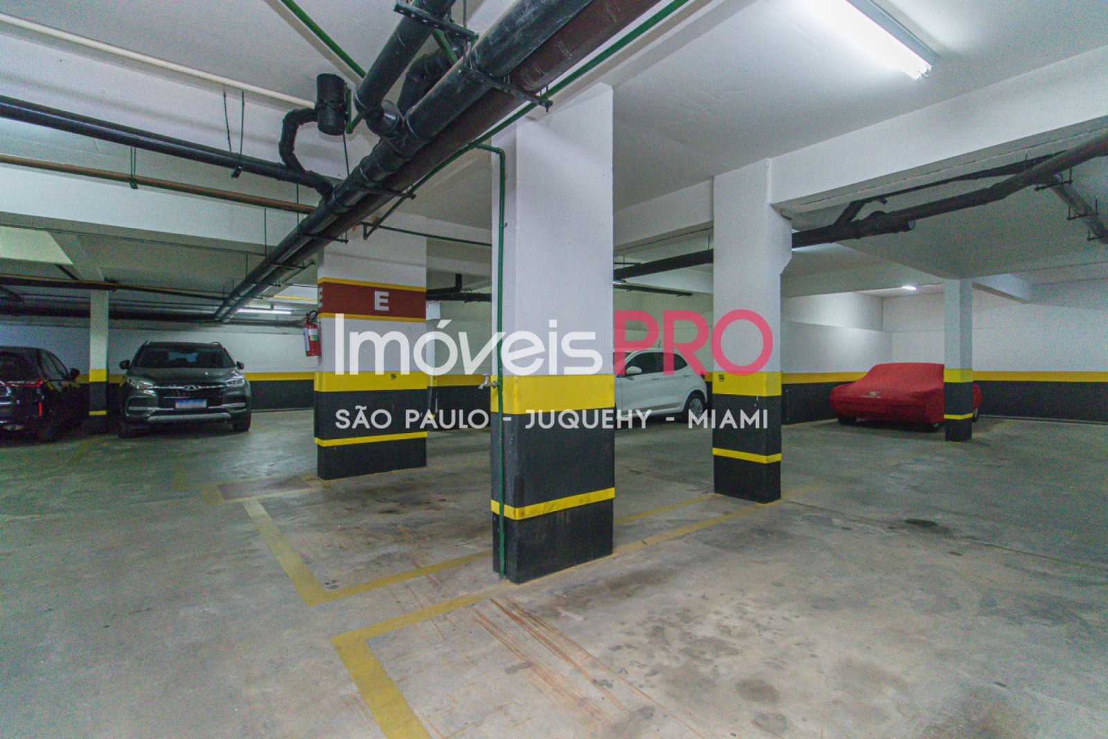 Foto :: IP38429