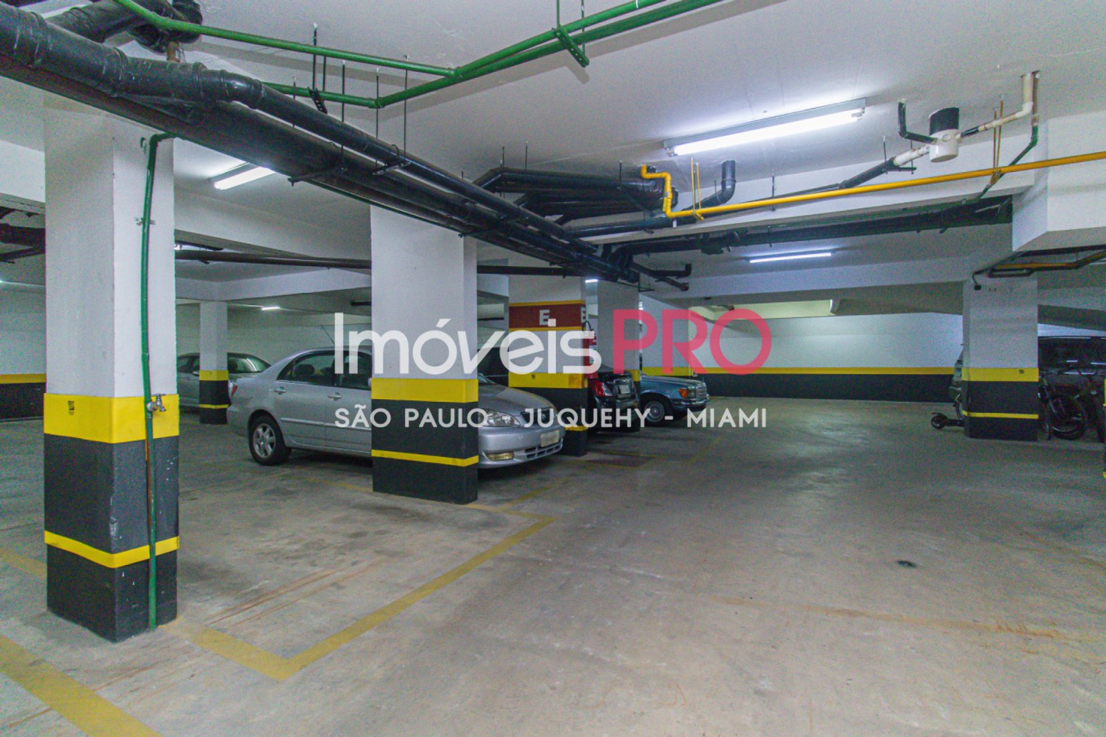 Foto :: IP38429