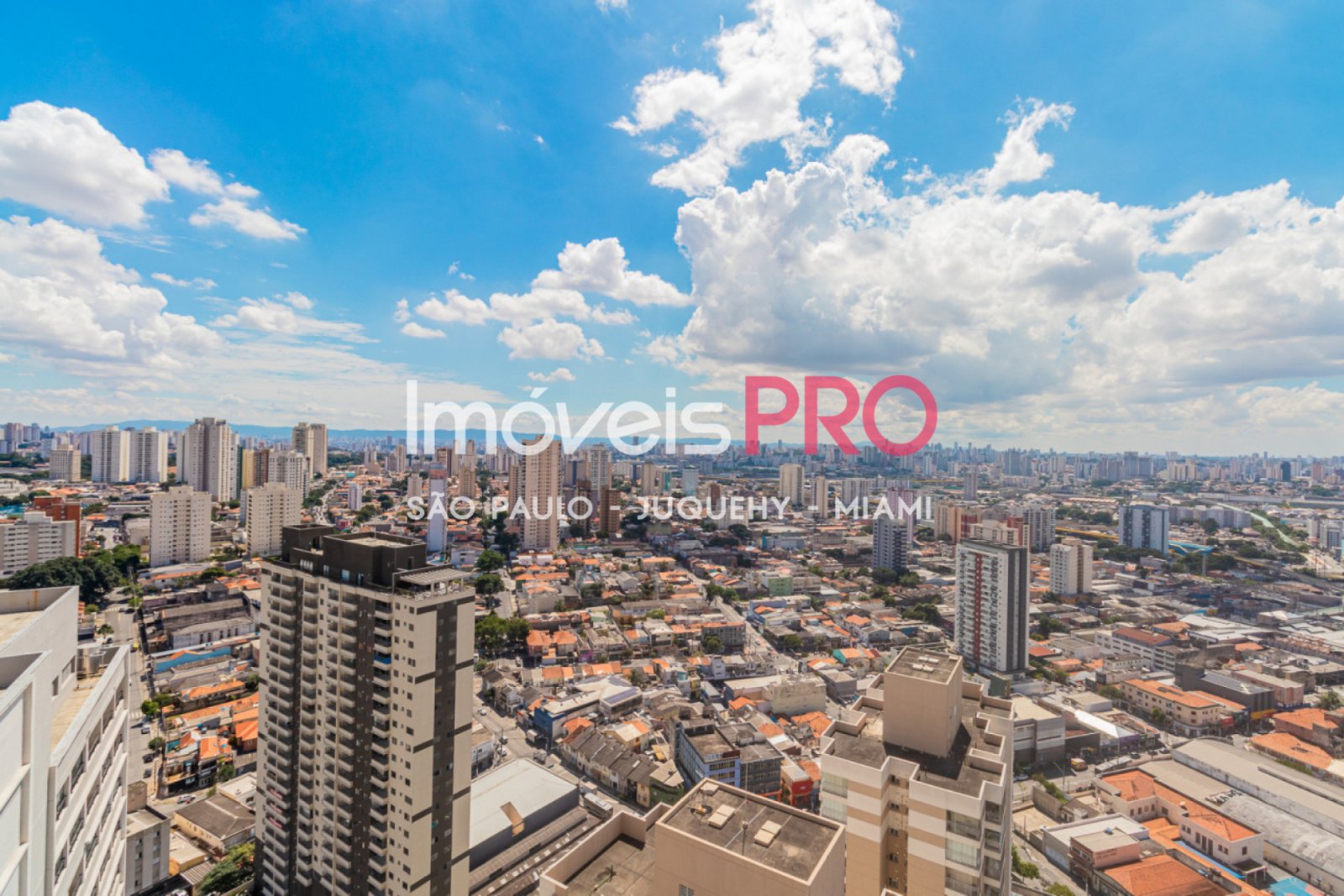 Foto :: IP38445