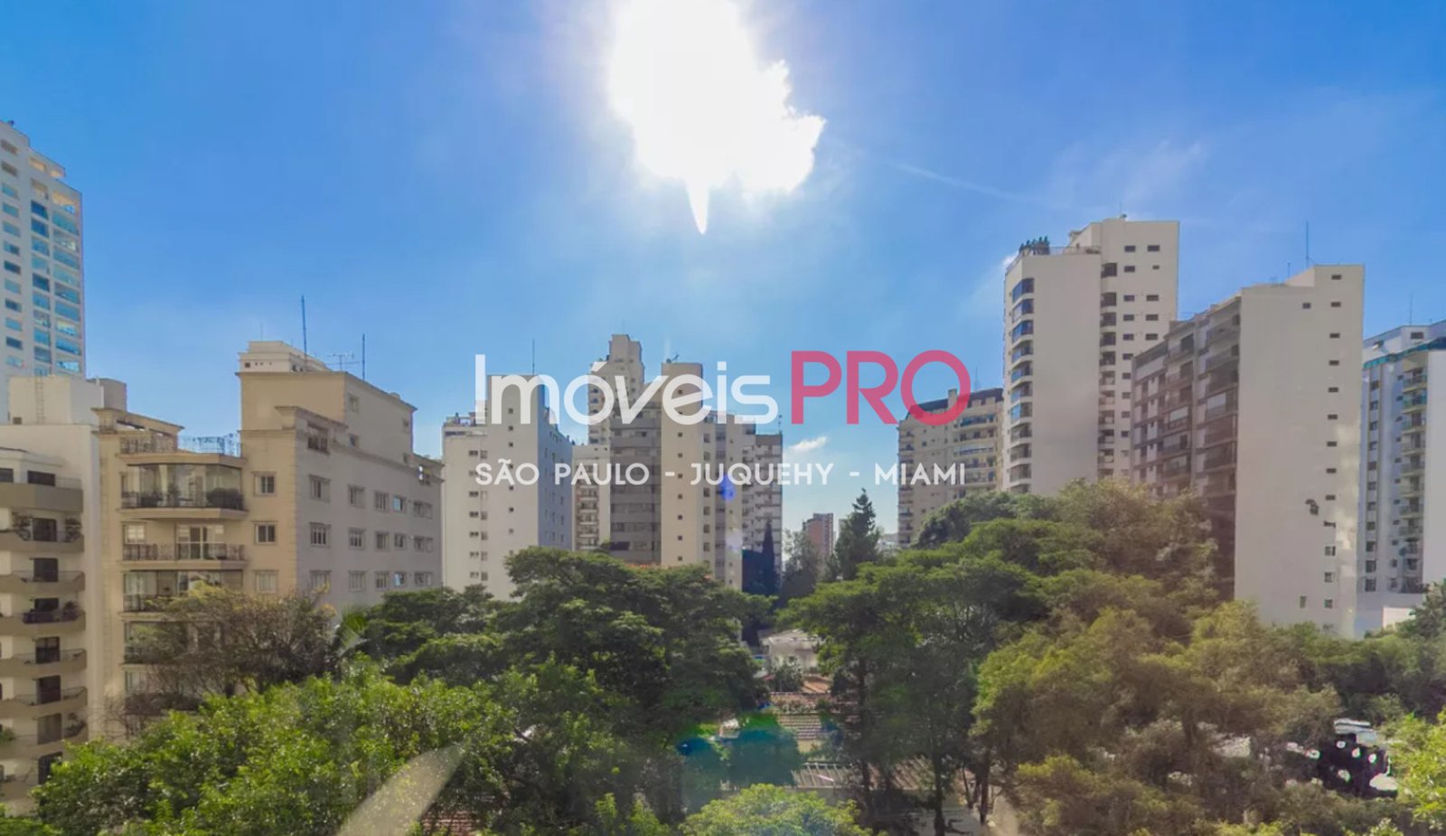 Foto :: IP38449