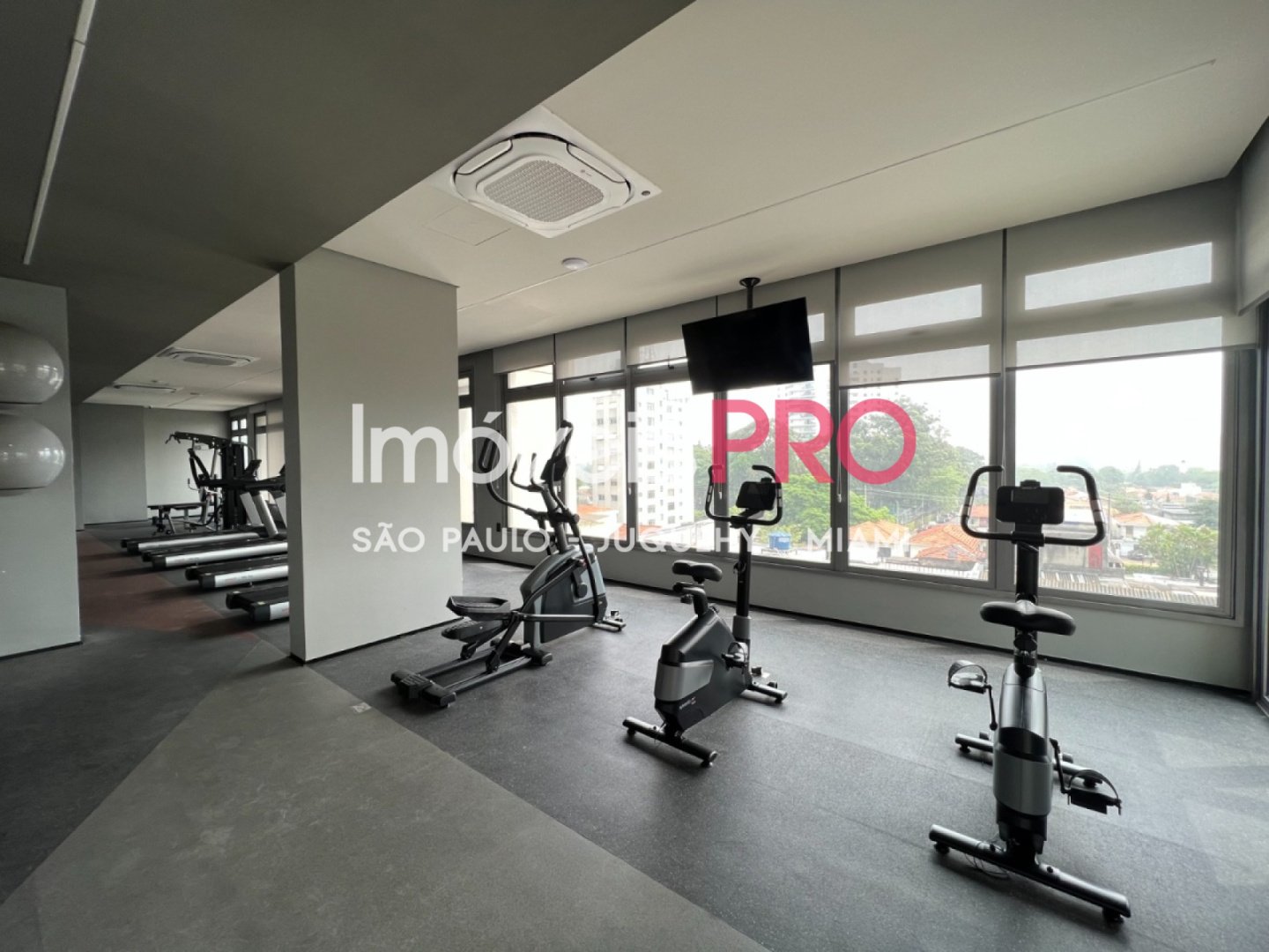 Foto :: IP38461