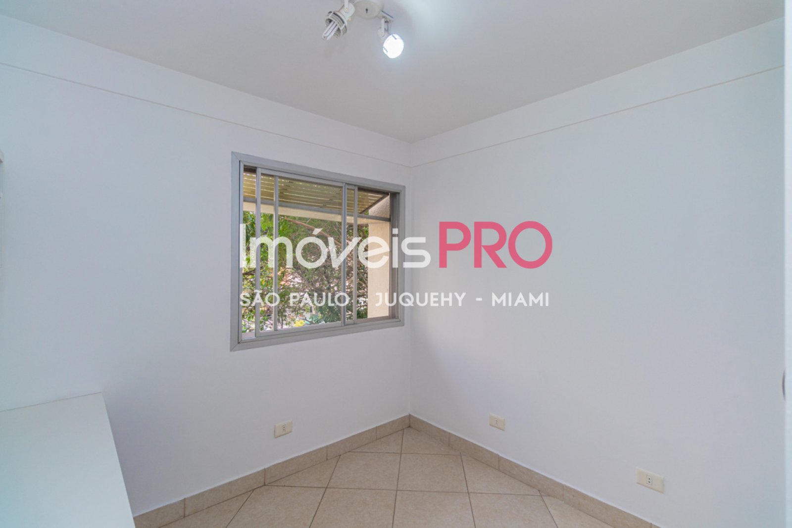 Foto :: IP38464